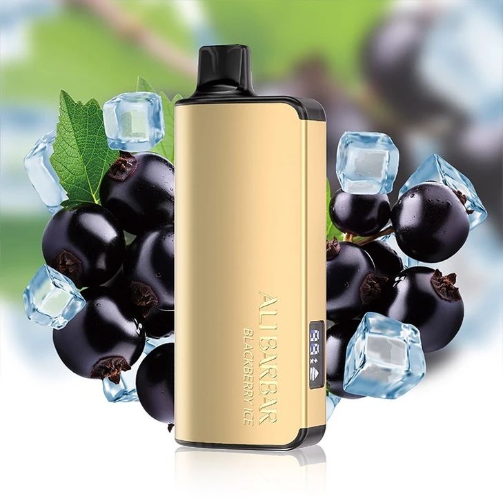 ALIBARBAR INGOT Blackberry Ice 9000 Puffs(jigsawtool.com)
