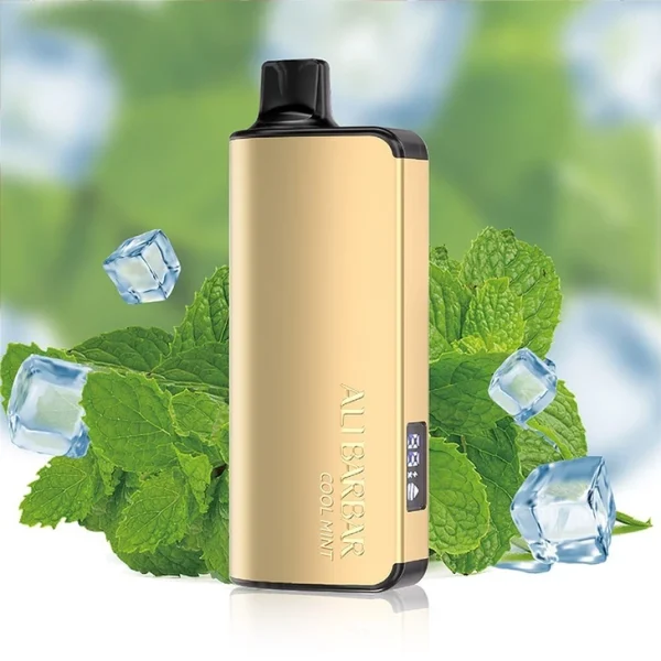 ALIBARBAR INGOT Cool Mint Strawberry 9000 Puffs(jigsawtool.com)